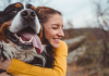 Site do Núcleo de Bem-Estar Animal tem mais de seis mil acessos em quatro meses de lançamento
