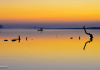 Amanhecer em Ilhas