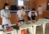 2º Mutirão do ano realiza 36 castrações de animais de rua em Arroio do Silva